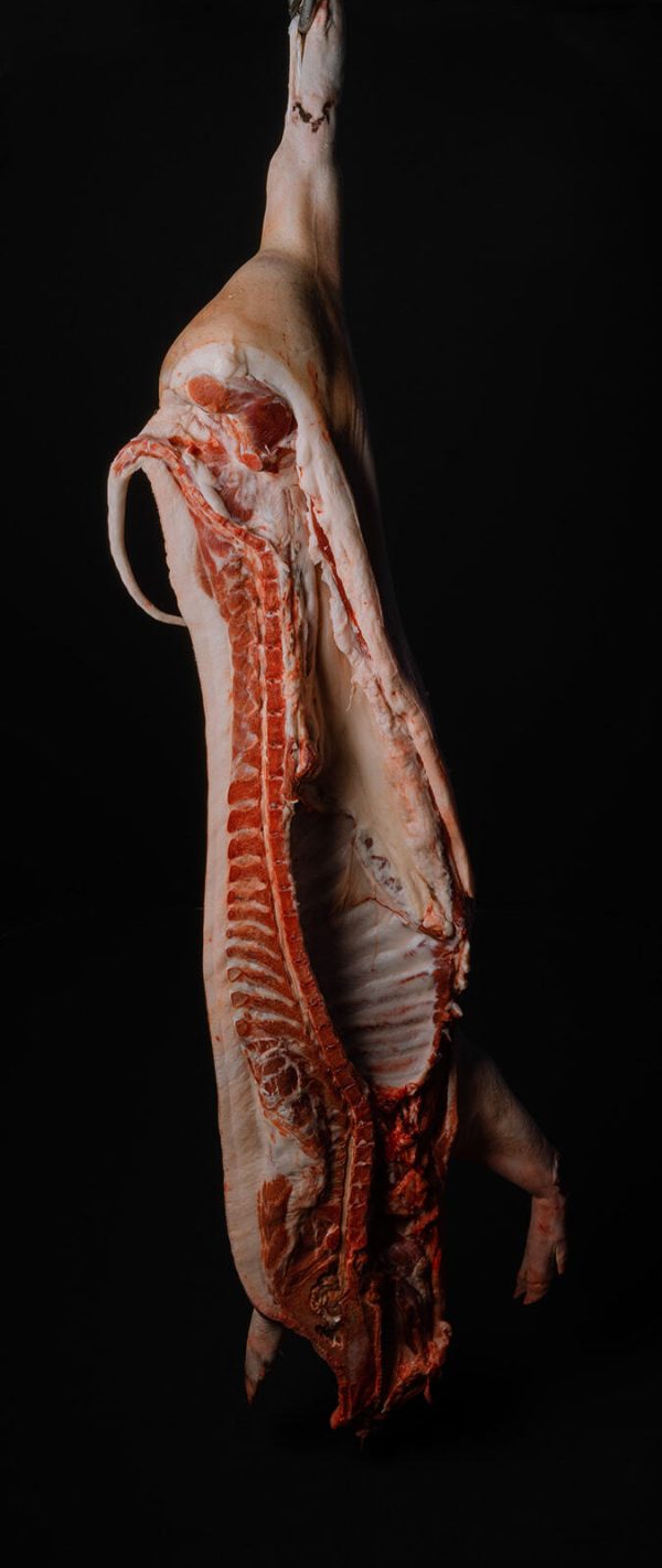 WHOLE SPLIT PIG