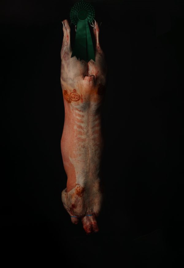 WHOLE LAMB CARCASS